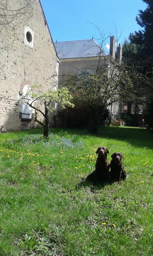 Bed and Breakfast La Sauldre Vailly-sur-Sauldre Exterior foto