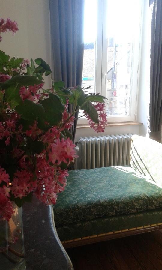 Bed and Breakfast La Sauldre Vailly-sur-Sauldre Exterior foto
